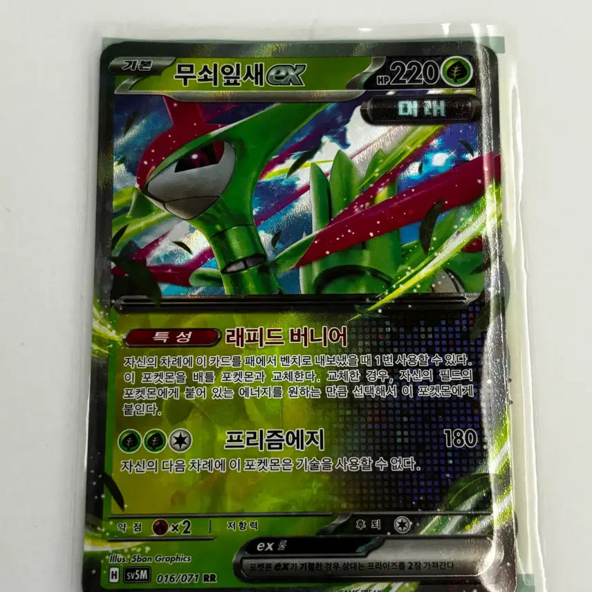 [BUNJANG] Pokemon Cards Korean Edition RR Grade Singles / [포켓몬카드] 한글판 RR등급 판매 (무쇠잎새, 메가헤라크로스, 라란티스, 아이앤트, 그우린차, 올리르바, 독침붕)