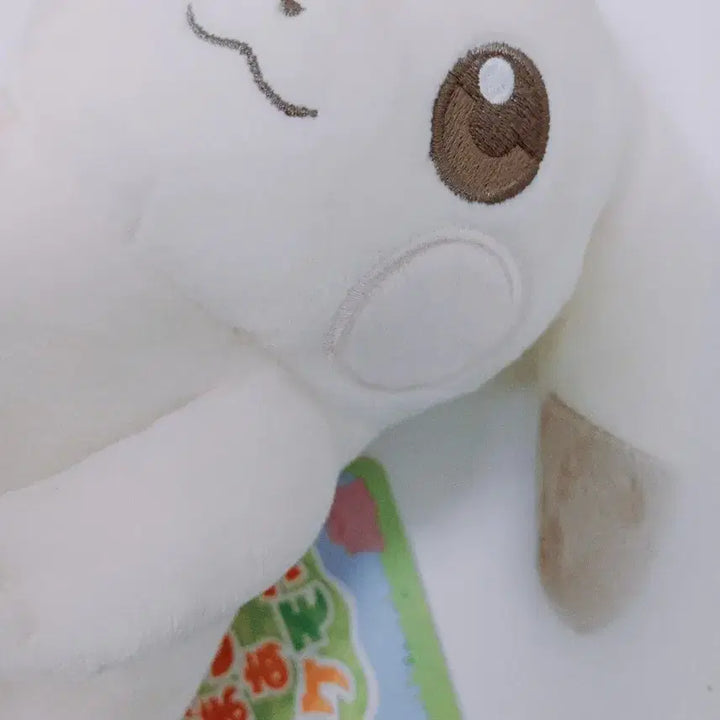 [BUNJANG] Pocopia Chubby Pikachu Medium Plush / 포코피아 창백카츄 중형인형