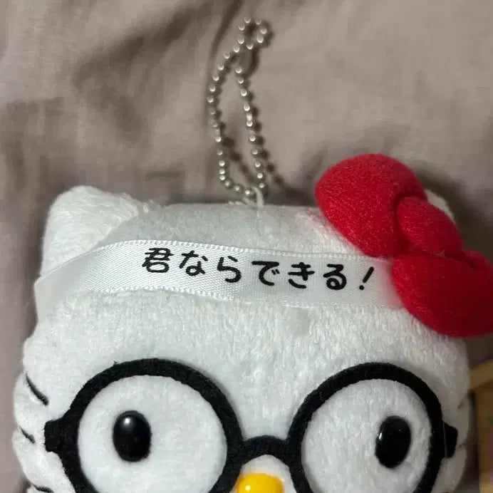 [BUNJANG] Hello Kitty Pass Version Doll / 합격 키티(택 제거)