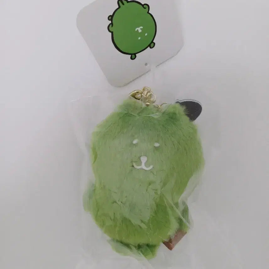 [BUNJANG] Nagano Market Matcha Joke Bear Keychain / 나가노마켓 말차 농담곰 키링