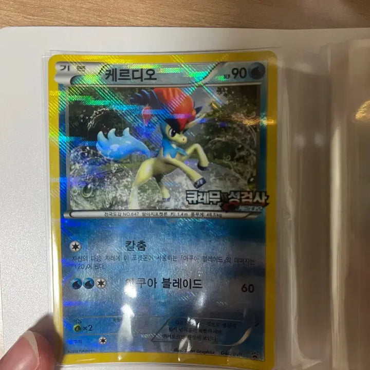 [BUNJANG] Pokemon Movie Promo Cards / 포켓몬 영화 프로모 카드들