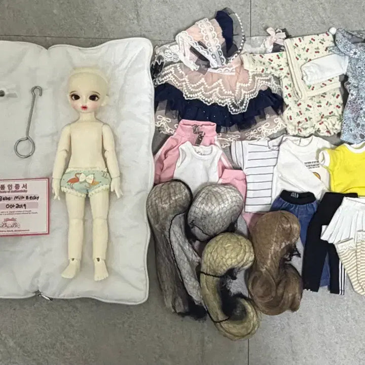 [BUNJANG] Chicabi Bebe Becky USD Ball-Jointed Doll Body &amp; Accessories / 구체관절인형 구관 치카비 베베 베키 usd 본체 물품포함
