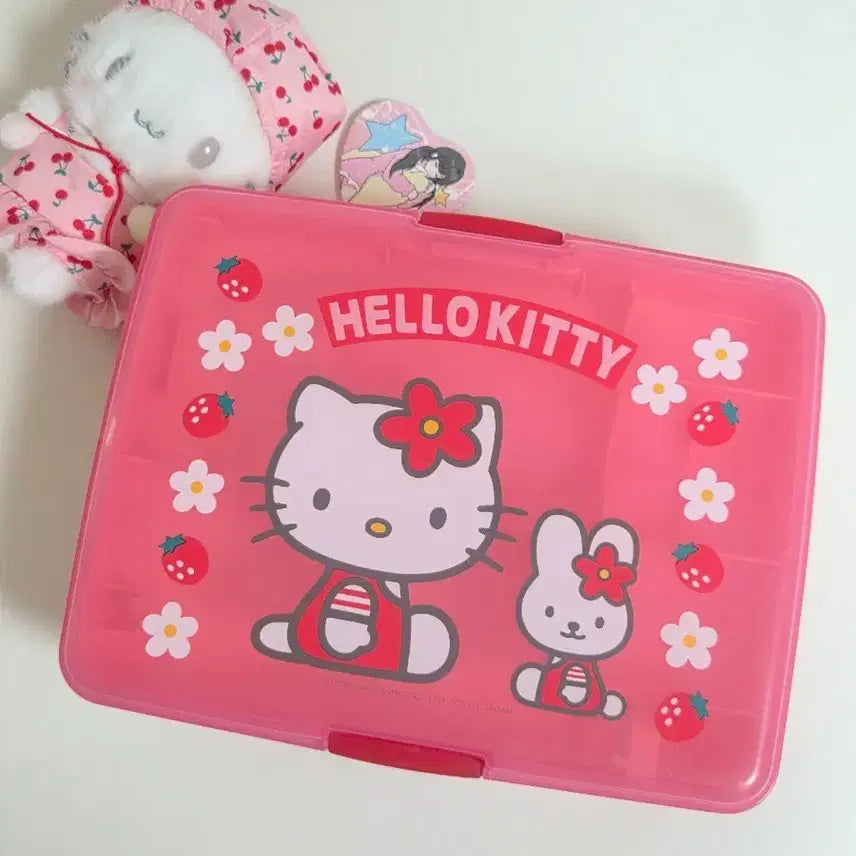 [BUNJANG] Classic Kitty Strawberry Kitty Cash Storage Box Case / 고전키티 딸기키티 캐시 보관함 케이스