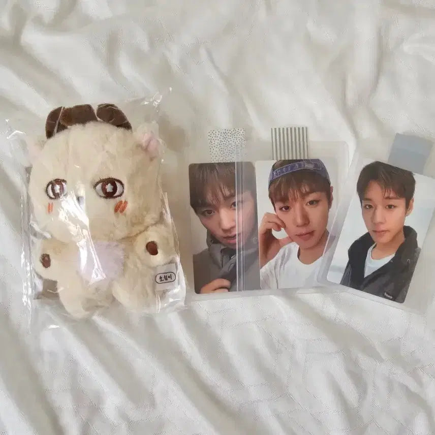 [BUNJANG] Park Jihoon &