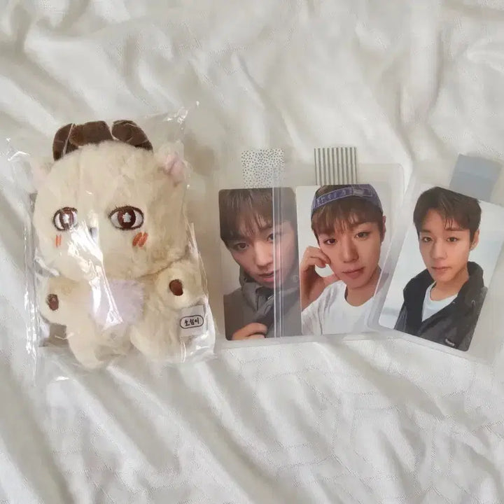 [BUNJANG] Park Jihoon &