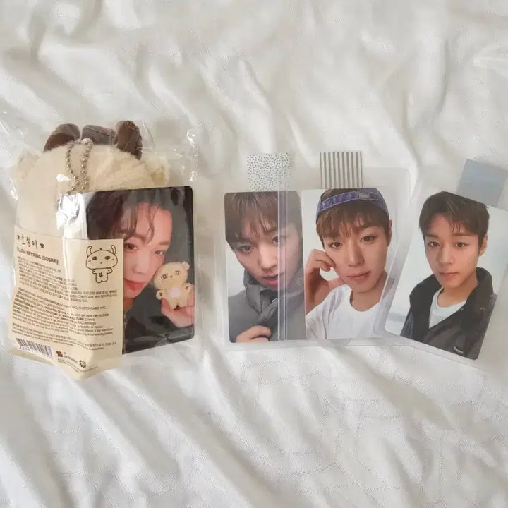 [BUNJANG] Park Jihoon &