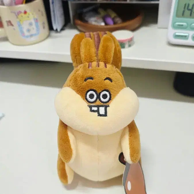 [BUNJANG] Squirrel Plush Toy / 똘망똘망 다람이 인형