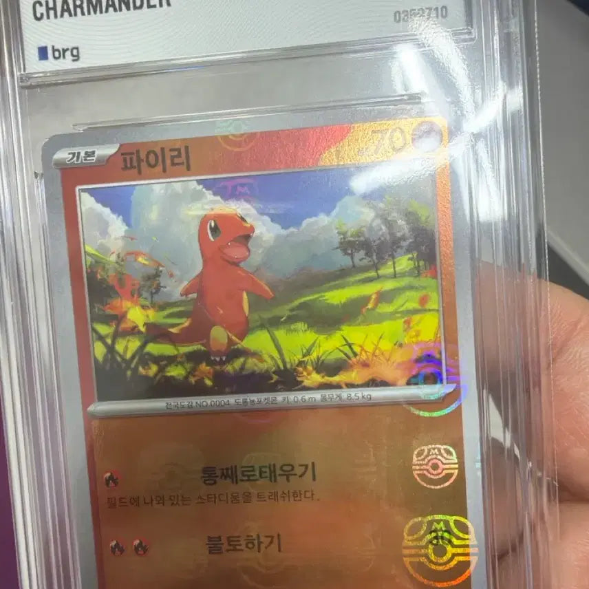 [BUNJANG] Charmander 151 Master Ball Holo Pokémon Card / 파이리 151 마스터볼