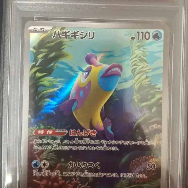 [BUNJANG] Pokemon Card Japanese AR Chigalki PSA 10 / 포켓몬카드 일판 치갈기 AR PSA10 판매/교환