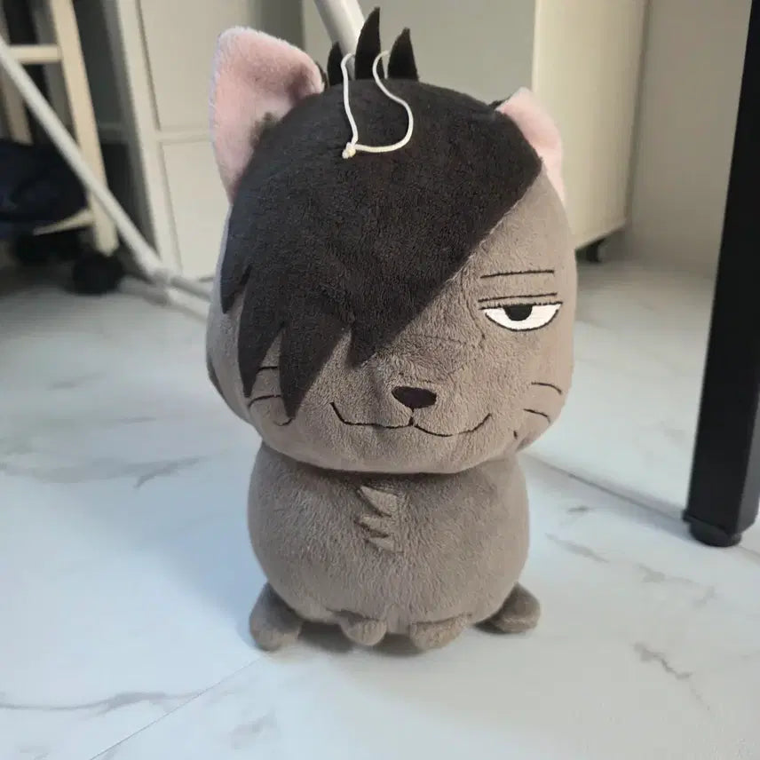 [BUNJANG] Haikyuu!! Kuroo Tetsurou Chubby Cat Plush Doll / 하이큐 쿠로오 쿠로냥 뚱냥이 고양이 인형