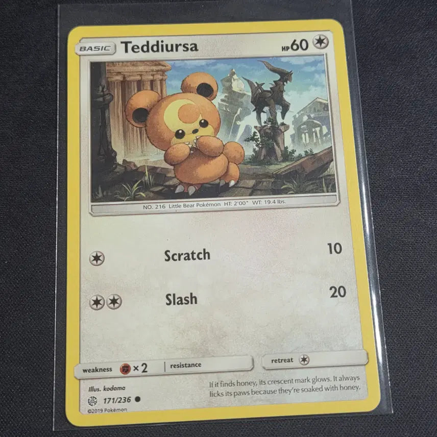 [BUNJANG] Pokemon Card North American Edition Teddiursa (Arceus on Back) / [포켓몬 카드] 북미판 깜지곰 (뒷쪽에 아르세우스)