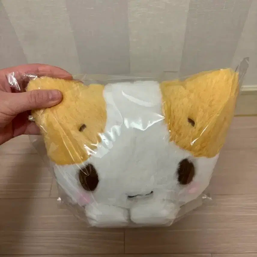 [BUNJANG] Marshmallow Cute Cat Plush Doll (M Size) / 마슈마로 귀여운 고양이 인형
