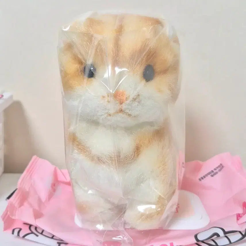 [BUNJANG] Vintage Apricot Cheese Cat Plush / 고전 빈티지 살구코 치즈냥 고양이 인형