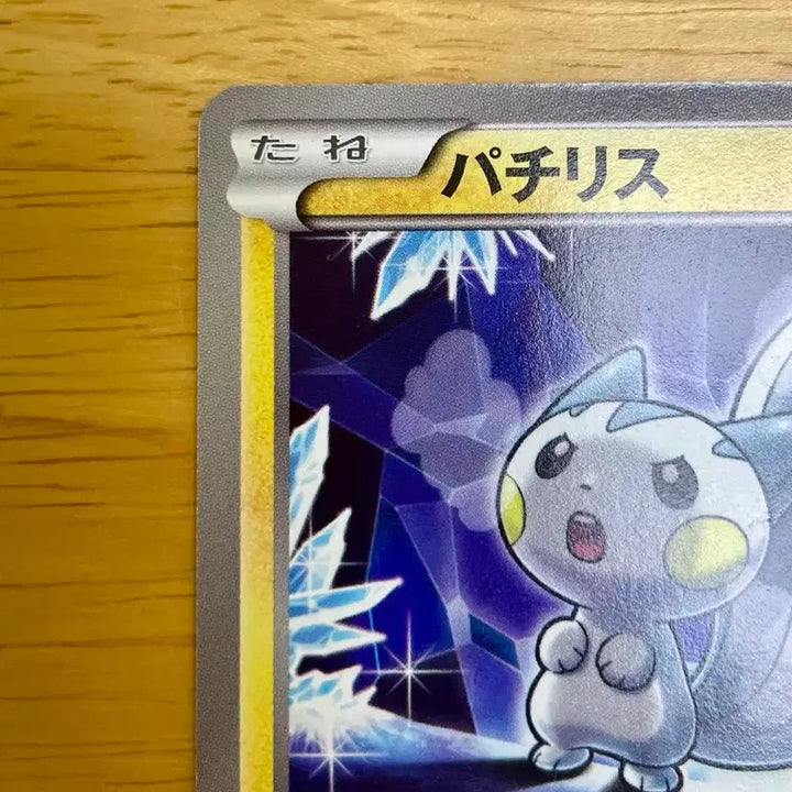 [BUNJANG] Pokemon Card Pachirisu 019/051 BW8 (Volturne) Japanese / 일판 포켓몬카드 볼트너클 파치리스 019/051 BW8