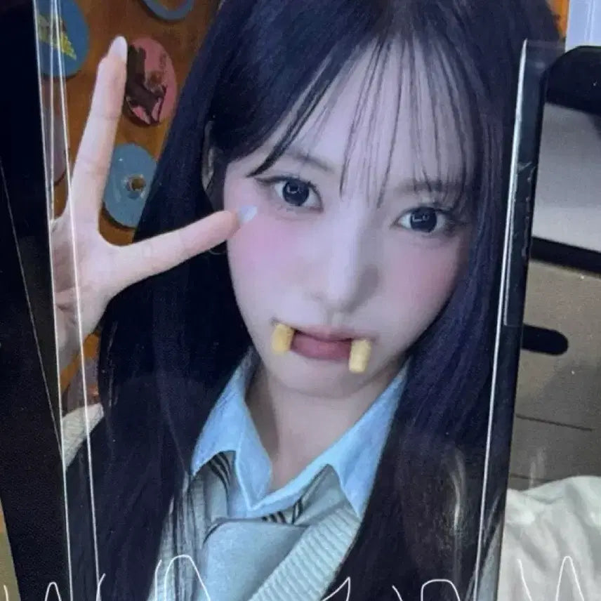 [BUNJANG] Lysnne Live Pluschat Saeukkang Photocard Set (POB) / [미개봉] 리센느 리브 플러스챗 새우깡 미공포 포토카드 포카 세트 판매