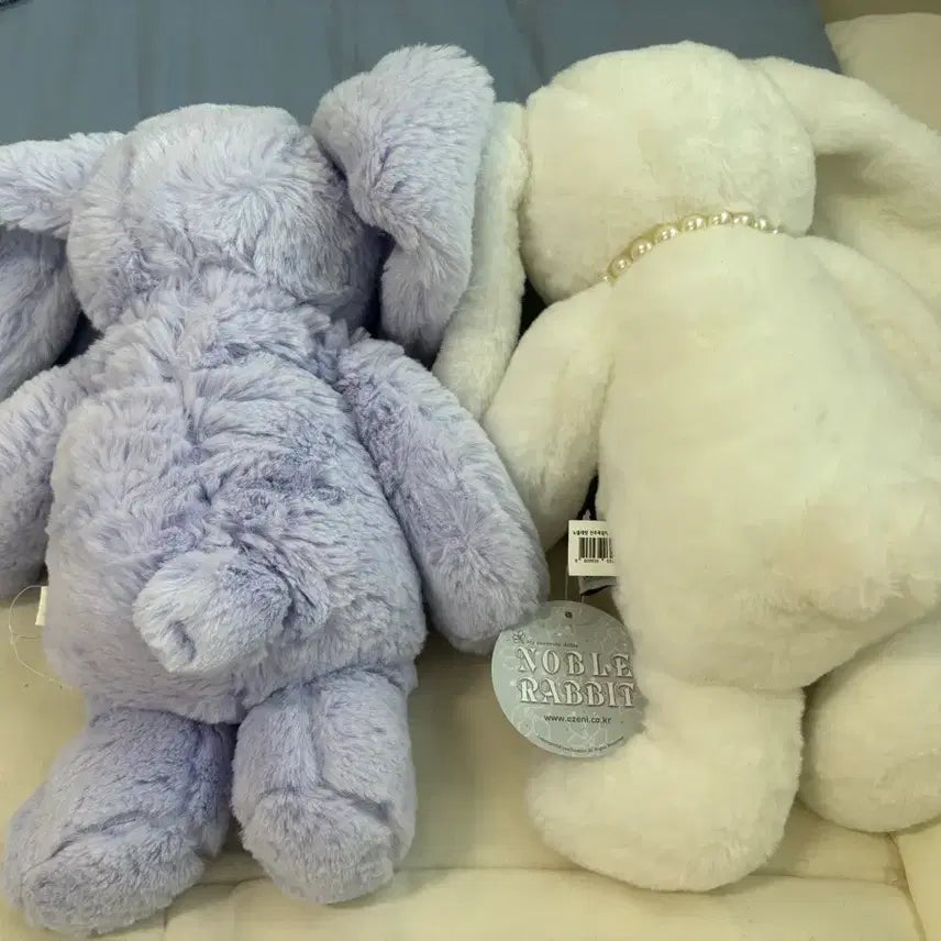 [BUNJANG] Comforter Rabbit Plush Set Bundle / comforty 토끼인형 세트 일괄