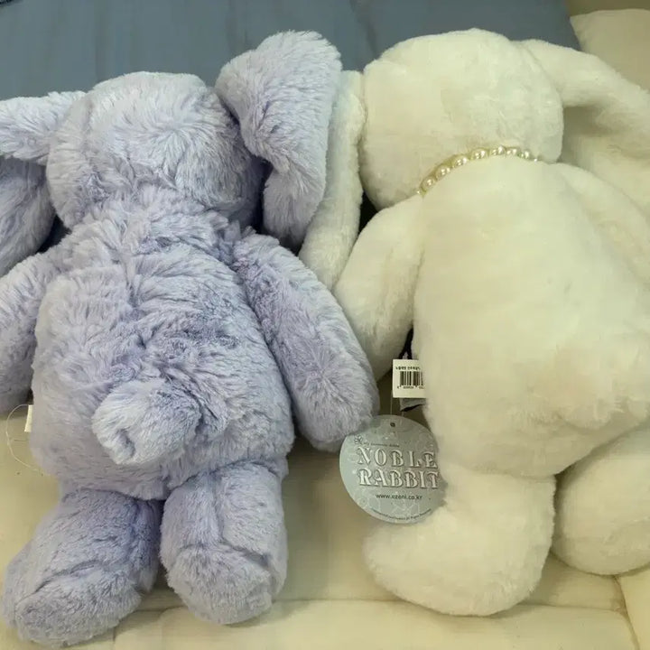[BUNJANG] Comforter Rabbit Plush Set Bundle / comforty 토끼인형 세트 일괄
