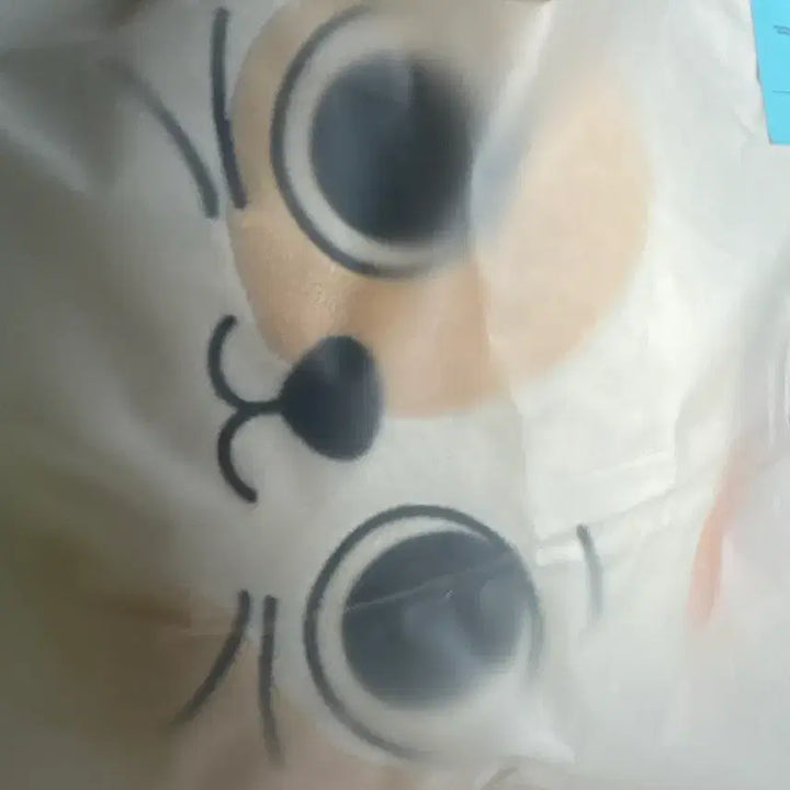 [BUNJANG] Ppreunekdo Catty Cushion / 쁘넥도 캣삐 쿠션