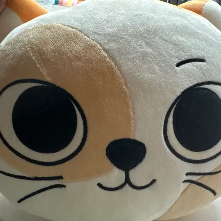 [BUNJANG] Ppreunekdo Catty Cushion / 쁘넥도 캣삐 쿠션