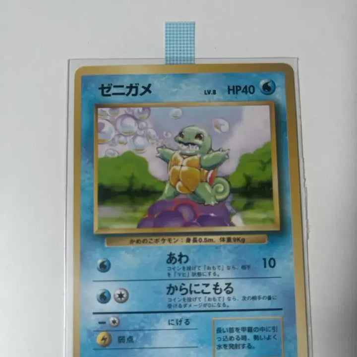 [BUNJANG] Pokemon Wartortle Old Backpack Card / (급처)꼬부기 올드백 포켓몬카드