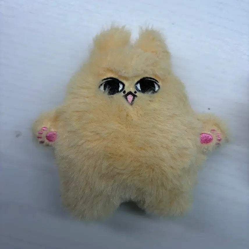 [BUNJANG] SEVENTEEN Jun 10cm Plush Doll / 치쭌케