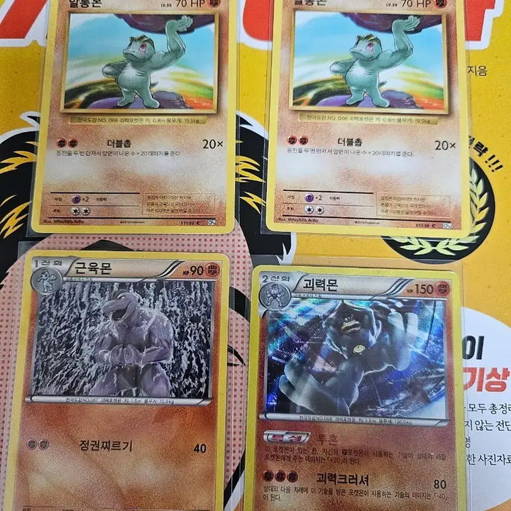 [BUNJANG] Pokemon Machop, Machoke, Machamp Set / 포켓몬카드 알통몬 근육몬 괴력몬 세트 XY