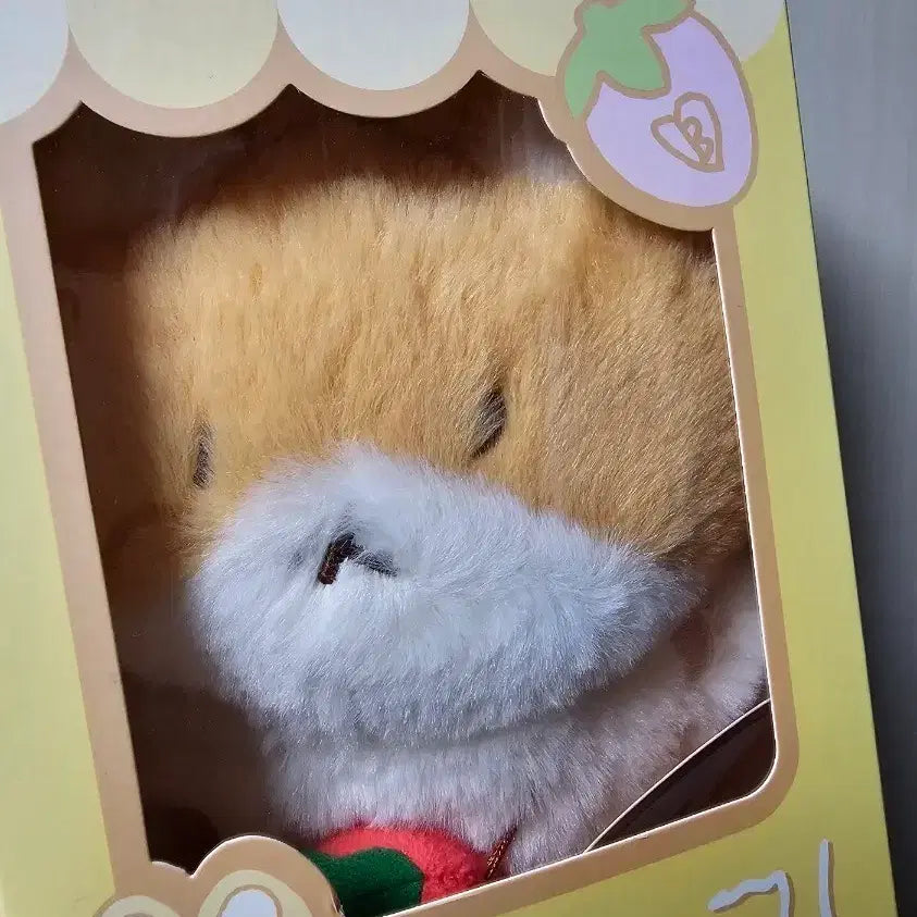 [BUNJANG] Baekhyun Strawberry Plush Doll 20cm / 백현 딸기 터래기 인형 20cm