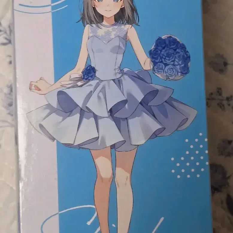 [BUNJANG] Blue Archive Yumemirizu Shiroko Figure (Sealed) / [미사용/미개봉] 블루아카이브 유메미리즈 시로코 피규어