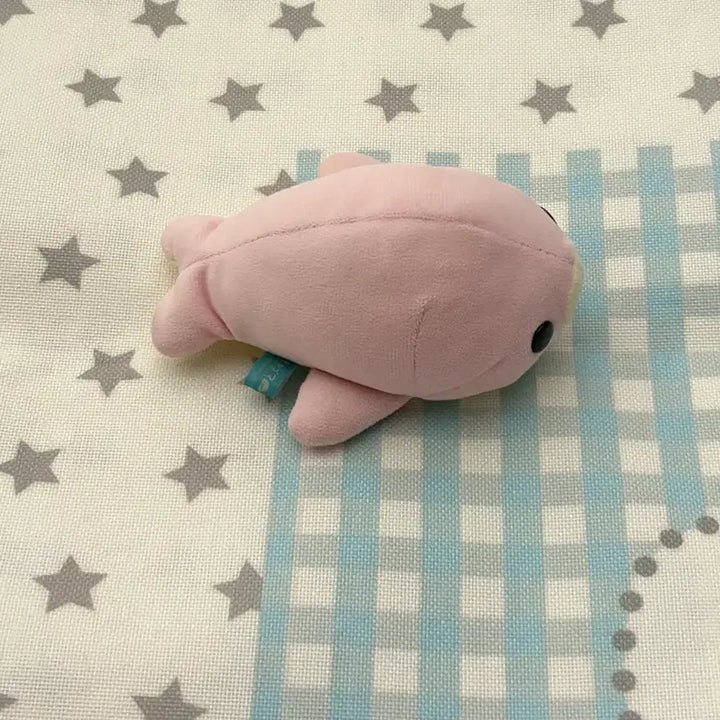 [BUNJANG] San-X Mamegoma Sakura-goma Doll / 사쿠라고마 인형 마메고마 고전 산엑스