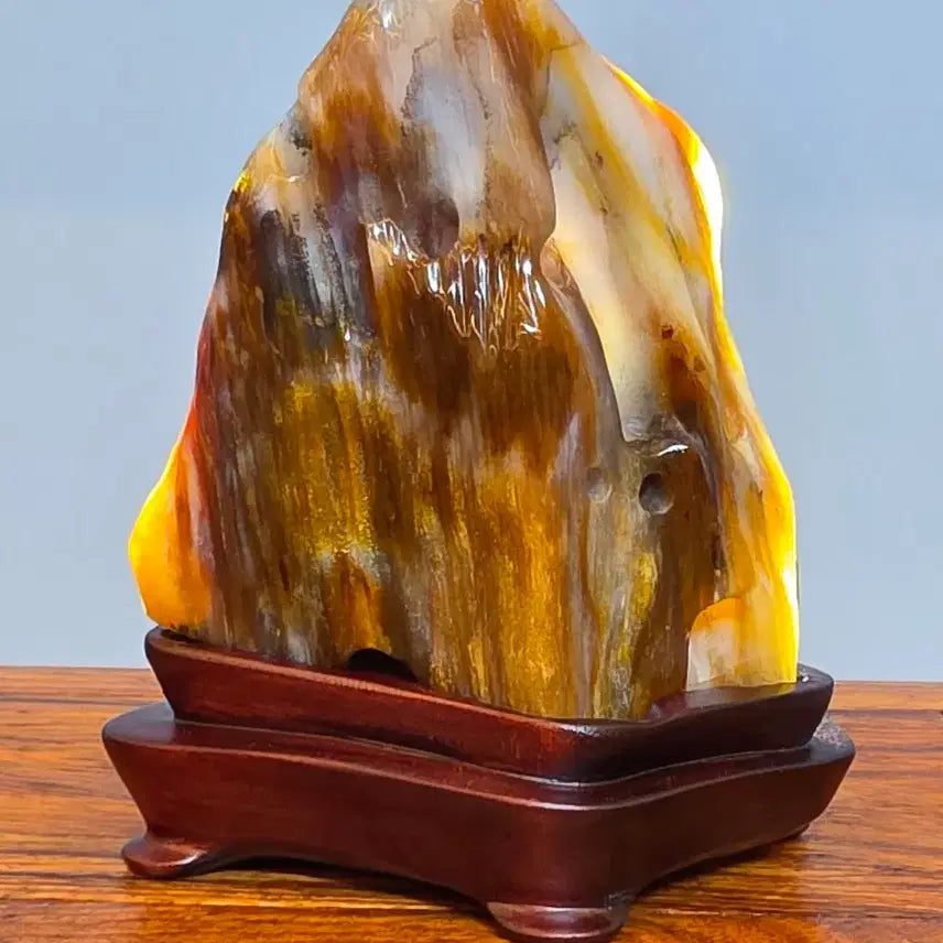 [BUNJANG] Petrified Wood Mineral Stone / 26082807 좋은 기운을 내뿜는 완전 옥화된 나무화석 광물 수석 팝니다