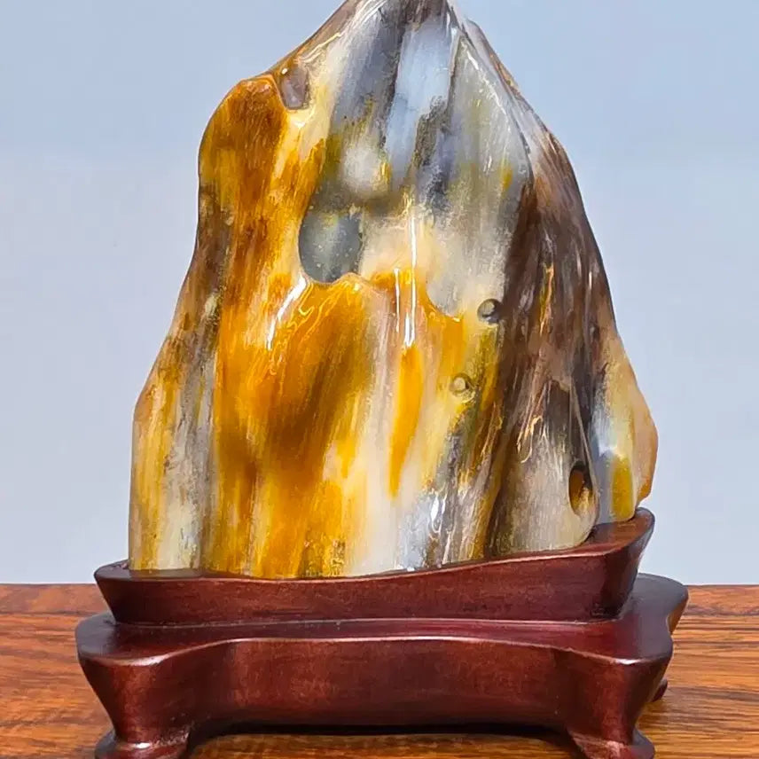 [BUNJANG] Petrified Wood Mineral Stone / 26082807 좋은 기운을 내뿜는 완전 옥화된 나무화석 광물 수석 팝니다