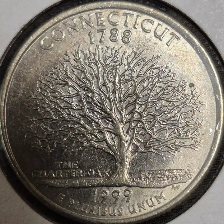 [BUNJANG] US Quarter Coin 8-Coin Set / 미국 주화 쿼터 8종 세트 일괄 판매