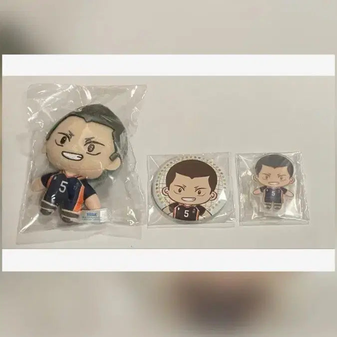 [BUNJANG] Haikyuu Tanaka Ryunosuke Plush, Can Badge, Acrylic Stand Set / 하이큐 타나카 류노스케 누이 캔뱃지 아크릴