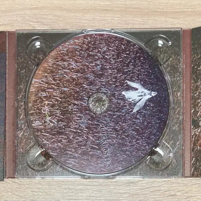 [BUNJANG] Gukakstten Tagtraume CD (Signed Edition) / 국카스텐 - Tagtraume CD 판매 (싸인반)