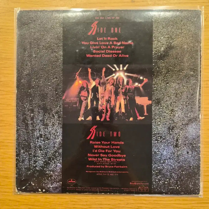 [BUNJANG] Bon Jovi LP / bon jovi lp