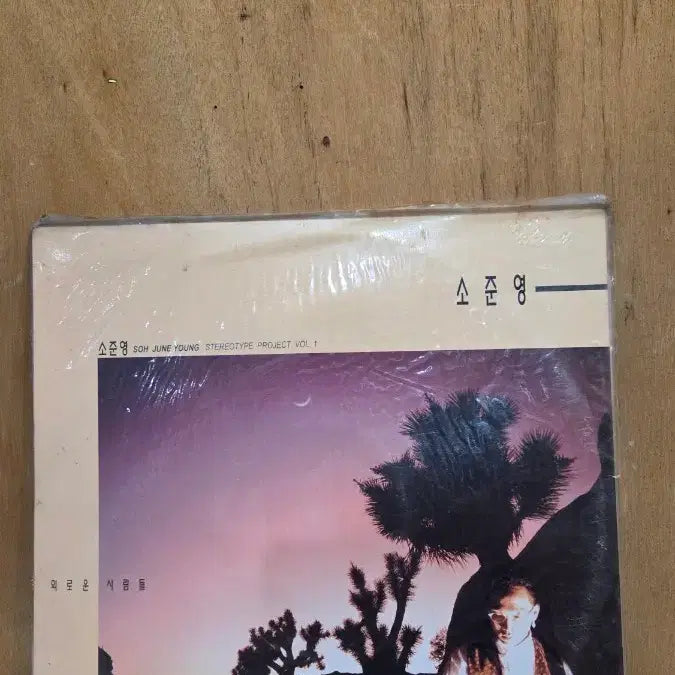 [BUNJANG] So Joon Young "Lonely People" LP (Sealed) / 희귀음반 / 미개봉 소준영 LP