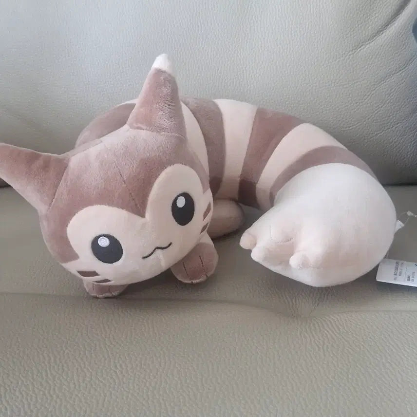 [BUNJANG] Pokemon Dakoori Tail Plush / 포켓몬 꼬리를 봐! 다꼬리 꼬리를 봐줘 인형