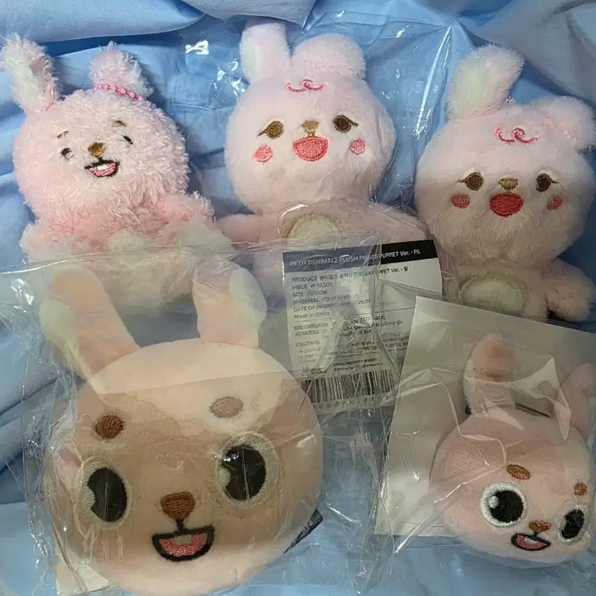 [BUNJANG] DAY6 Philkki Bundle Set / 데이식스 필끼 일괄판매