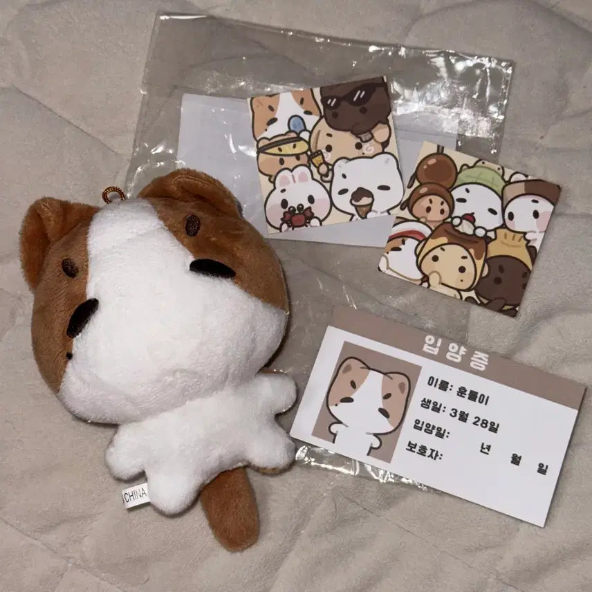 [BUNJANG] TWS Jihoon Tortus Doll Photocard / 투어스 지훈 톨어스 훈톨이 개봉 ㅅㅊ신유도훈영재한진경민포카인형