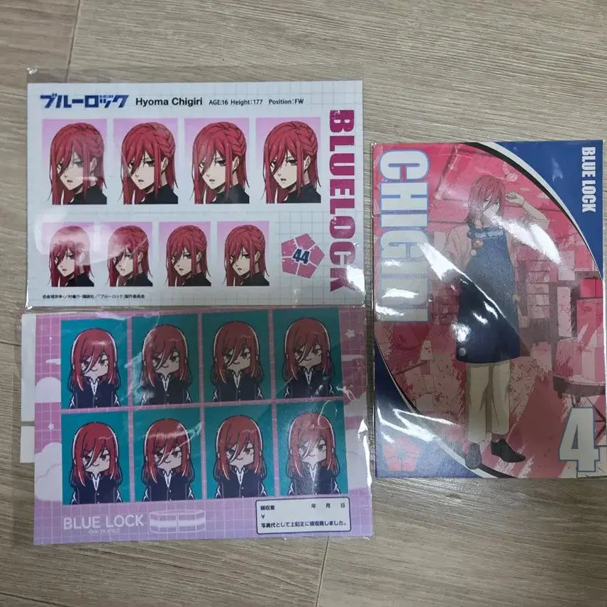 [BUNJANG] Blue Lock Chigiri Proof Photo Postcard Bundle Set / 블루록 치기리 증명사진 엽서 일괄
