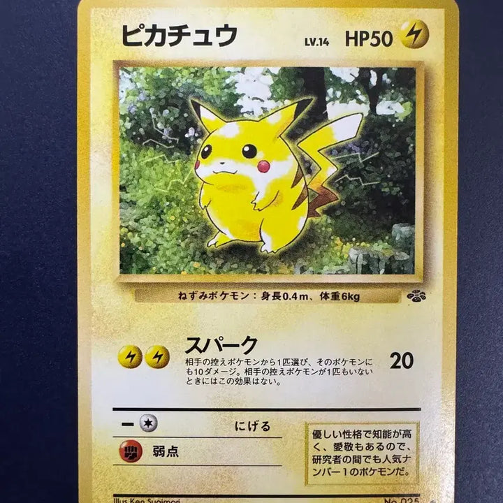 [BUNJANG] Pokemon Card Jungle Set Pikachu (Japanese) / 포켓몬카드 일판 제 2탄 정글 피카츄