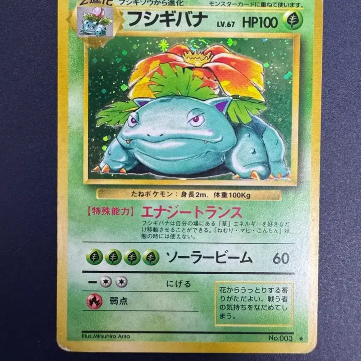 [BUNJANG] Pokemon Card Japanese 1st Edition Venusaur / 포켓몬카드 일판 1996 초판 이상해꽃