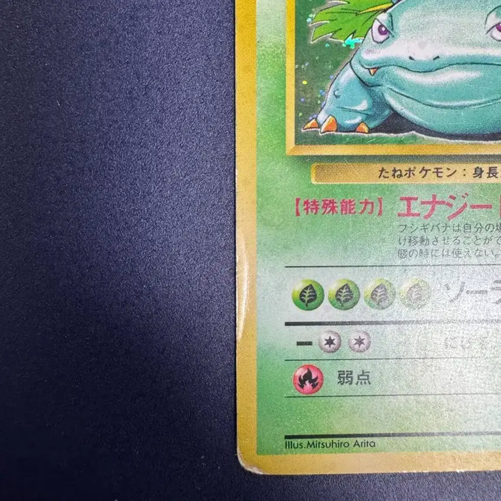 [BUNJANG] Pokemon Card Japanese 1st Edition Venusaur / 포켓몬카드 일판 1996 초판 이상해꽃