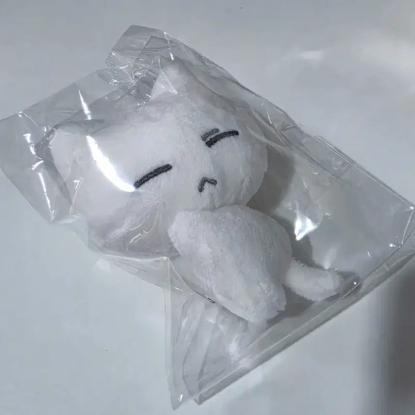 [BUNJANG] BOYNEXTDOOR Seungho Yeppinyang Nubbinyang Plush Doll / 보이넥스트도어 보넥도 성호 비공굿 인형 예삐냥 눕삐냥 양도