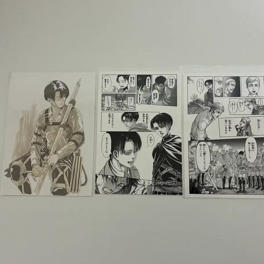 [BUNJANG] Attack on Titan Postcard Bundle Set (Levi, Erwin) / 일괄/ 진격의거인 엽서 3종(리바이,엘빈)