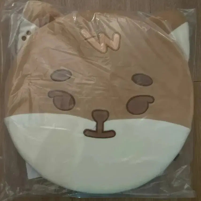 [BUNJANG] DAY6 Cushion (K) Sealed / 데이식스 방석 케 미개봉 원가 이하 양도합니다!