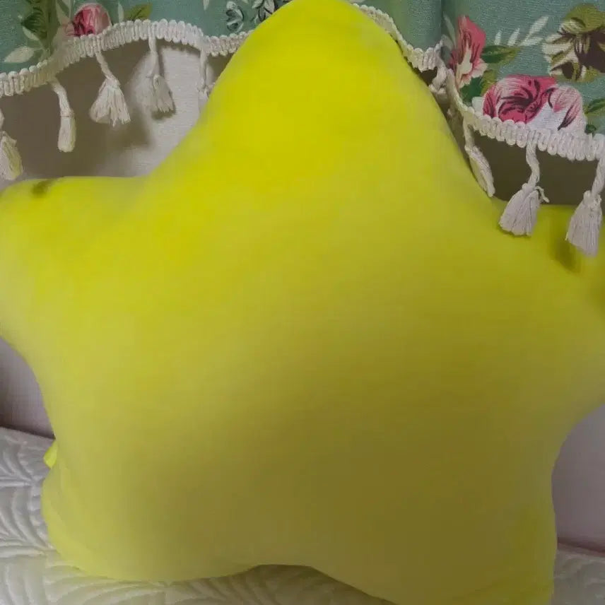 [BUNJANG] NCT 127 Haechan Starfish Cushion Doll / nct127 엔시티127 해찬 대왕 쿠션 인형 별가사리 햇가사리