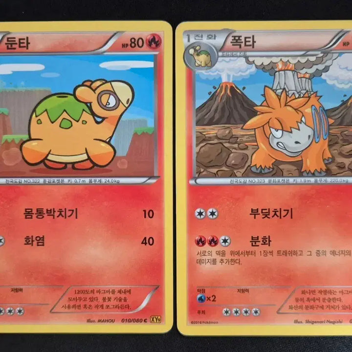 [BUNJANG] 2016 XY Evolutions Pokémon Card Dunta/Pokta Evolution Set / 2016년 XY실즈 포켓몬카드 둔타/폭타 진화세트