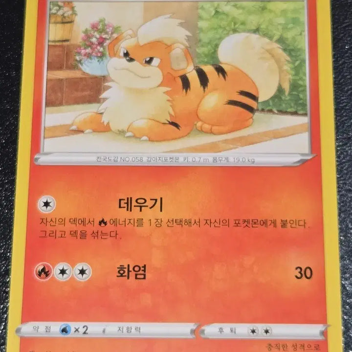 [BUNJANG] Pokemon Card Gardie 012/100 / 포켓몬 카드 가디 012/100