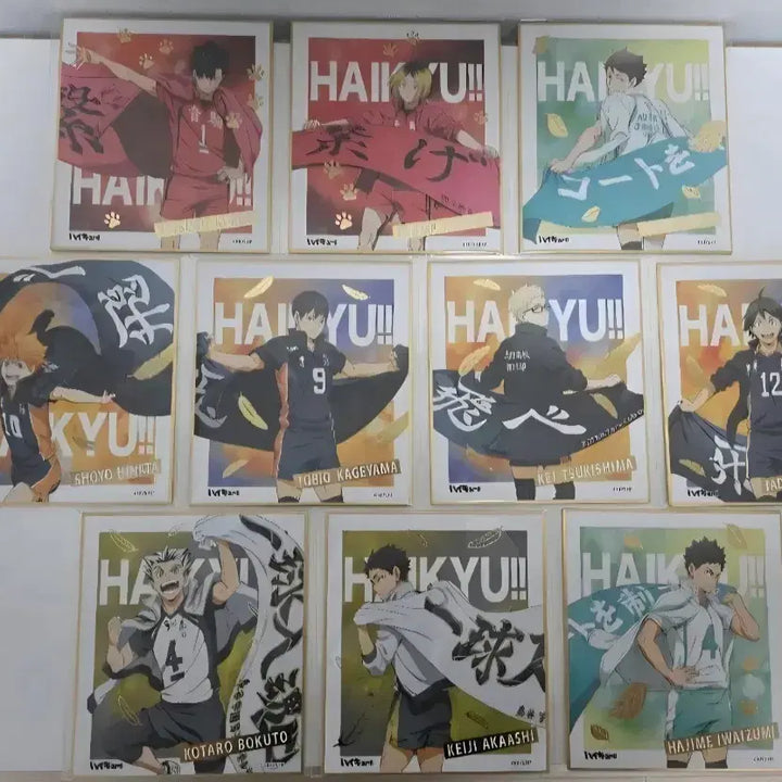[BUNJANG] Haikyuu!! Banner Shikishi Complete Set (10 Types) / 하이큐 현수막 색지 전 10종